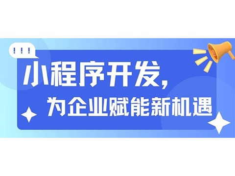 小程序开发，为企业赋能新机缘